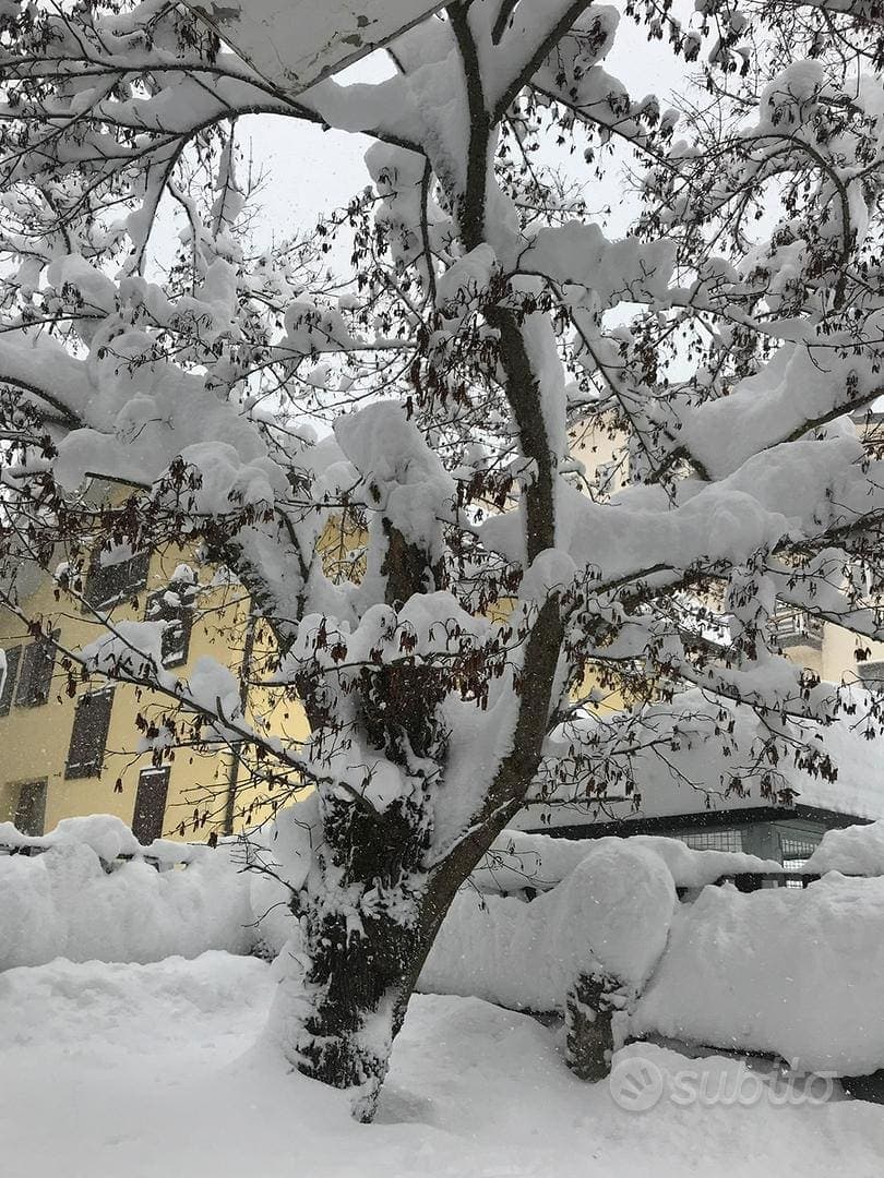 Un giardino incantato a Roccaraso centro — casa vacanze a Roccaraso, Abruzzo